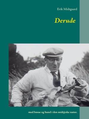 cover image of Derude